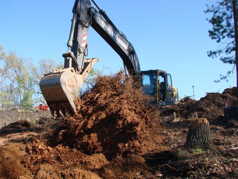 Stumps and organics are removed before grading begins